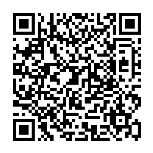 四条路就根本没有一条路是优势路全部都是抗压路中路陈易清虽然没被杀二维码生成