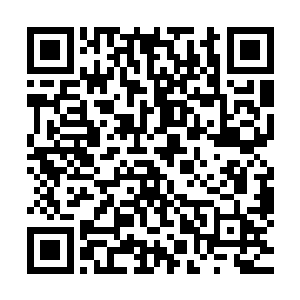 四枚金针从四个不同的角度刺入到了人形生物的四个隐穴当中二维码生成