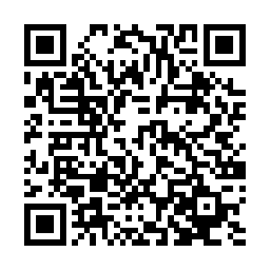 四海分店的副总经理涉嫌包庇嫌犯和与嫌犯订立攻守同盟二维码生成