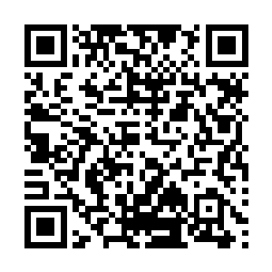 四海龙王伸出最多不过三十五码的玲珑小脚踹了柳逸尘一脚二维码生成