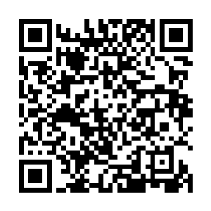 四米多高的景观落地窗……还是让五个小姑娘欢喜雀跃二维码生成