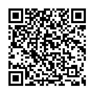 四肢整个被带有活动关节的硬甲包裹得严严实实二维码生成