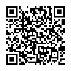 四象乾坤鼎似乎是意识到了烈焰魔虎喷出来的火球杀伤力惊人二维码生成