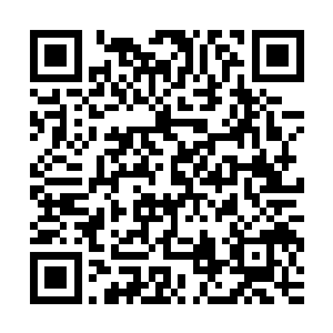 四辆福特越野车外加一辆顶级奔驰轿车离开了正门前的迎客通道二维码生成