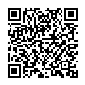 四道流动着符箓的光芒分别冲进了四个族长的体内二维码生成