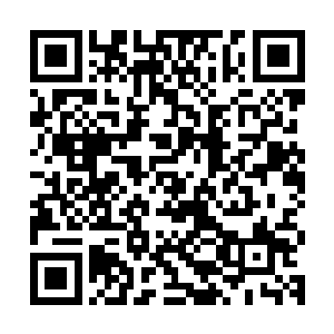 四长老就有点蔫了……平时声望都是一个点数一个点数慢慢攒的二维码生成