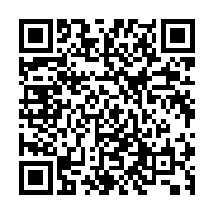 四阶的战斗职业……这在军队里绝对也是数得上号的强者了啊二维码生成