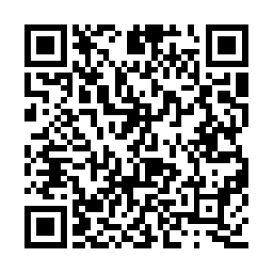 四面八方都总是有无穷无尽的沙漠毒蝎蜂涌而上二维码生成