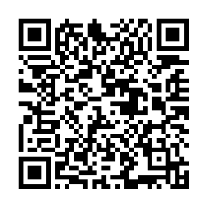 四面的墙壁上全部都有某种尖利牙齿啃噬后留下的痕迹二维码生成