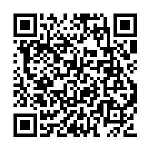 回到天台的我紧紧的看着掐住怀柔脖子的柳清浅二维码生成