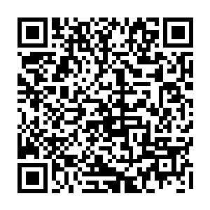 回到帐篷喝了一碗冷水才让自己稍稍平静下来的严默突然发现他的右手又亮了二维码生成