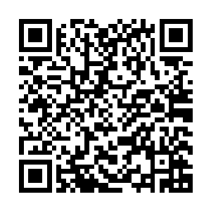 回去之后大家好好的休息两天等着风暴一减弱就要都给我回来二维码生成