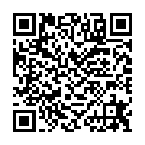 回去的时候绕个弯去飞龙部落把人都带上就行了二维码生成