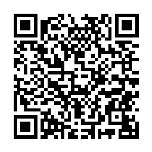 回复绝对不可能存在魔神王能抓五个符神帝的可能二维码生成