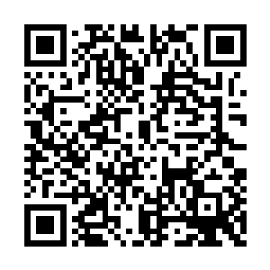 回头我会让人去风苍国给修王爷和玉清落报个信二维码生成