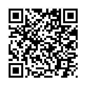 回头我的新节目就让您当长期嘉宾二维码生成