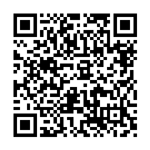 回头我让白硫亦把丁香和红芽叫来照顾她和莫飘二维码生成