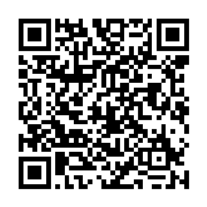 回头打量了一番这个充满欧洲宫廷风格富丽堂皇的客厅二维码生成