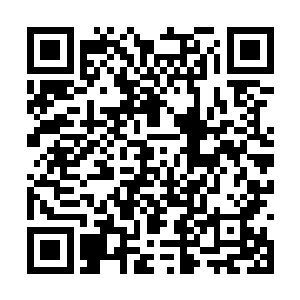 回头看了看身后那些一个个都受伤很重的海族强者二维码生成