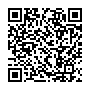回屋里我继续去背竹简上那根本不懂是什么意思的内容二维码生成
