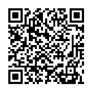 回想她刚刚在门外笑得云淡风轻与世无争的样子二维码生成