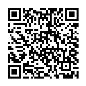 回想起自己在某一世曾经当过改装车机械师和赛车手二维码生成