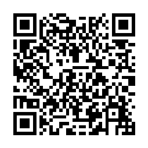 回春制药和大自然药业两个项目最后敲定落户这里二维码生成