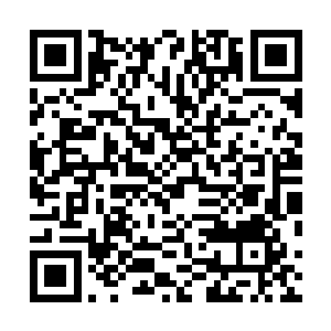 回春谷的众人的修为全都没有丝毫保留的落到了他的眼中二维码生成