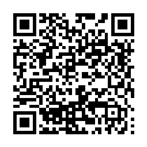 回来之后的这几天就要极速的处理她管理的地方的灵体二维码生成