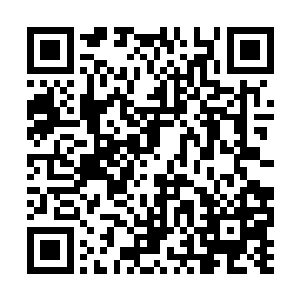 回来之后看见苏念白和一个男的在宿舍里聊着什么二维码生成