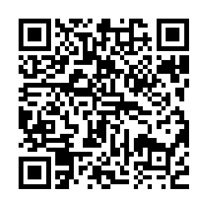 回来后好让自己舅舅帮着在市游泳队安排一份舒服的办公室工作二维码生成