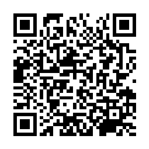 回来的飞机上我还琢磨这俩玩意哪天坐飞机摔死呢二维码生成