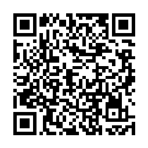 回来程兆儿又置备了米面油布料这类的东西送到腔北村二维码生成