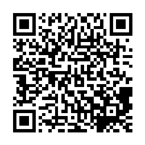 回来竟然要对他母亲……妇人情急之中随手拿起一个棍子敲下去二维码生成