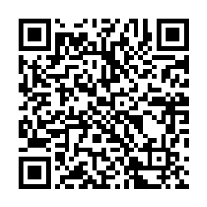 回来送鱼的人跟龙鸣说了凌菲中午不回来让人给龙野送饭二维码生成