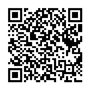 回灵丹的使用也从半个时辰一颗渐渐发展成半个时辰两颗二维码生成