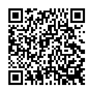 回答男生话的居然是一个只有十多厘米大的……玩具狗二维码生成