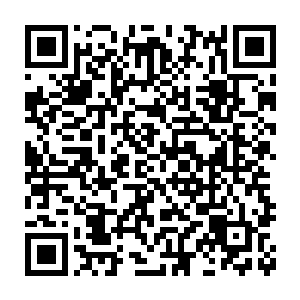 回身跑厨房端了一盆子汤包出来没一会儿功夫便都填进肚子里去了二维码生成