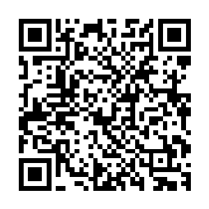 回过神的琴瑟色视野中已经完全没有了黄心巨人和阿红的痕迹二维码生成