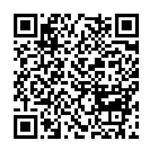 回过神的领头男子看着奔向苏凡而去的肌肉男吼道二维码生成