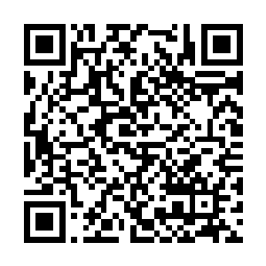 回过身拿起放在针线匣子里量尺寸的软尺走了进去二维码生成