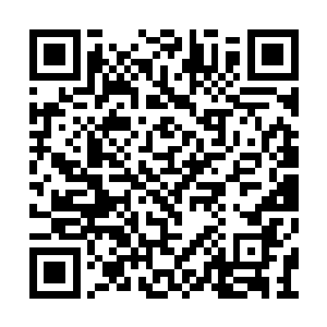 回过身来的池佳一一眼就看到了攻向道瑟的电流二维码生成