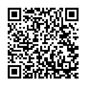 回首必有大用听说再过两月斯图宁万户所的编制都要撤了……二维码生成