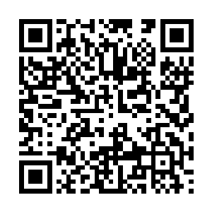 因为……精英班里有一名学生因为外出做任务死了二维码生成