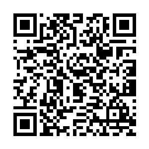 因为一个家族是绝对没有办法悄无声息的培养一个臻天高手的二维码生成