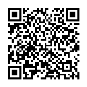 因为一个小人物和闻人家族发生矛盾实在是太不值得了二维码生成