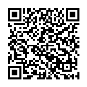 因为一个工匠会潜意识地将同类武器打造成一个巅峰系列二维码生成
