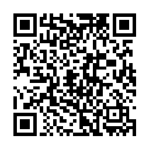 因为一些顶尖的灵根的生存条件可是十分的苛刻的二维码生成