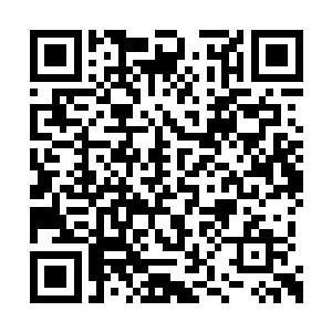 因为一出现突然的那种镜头切换陈巧就哇哇大叫二维码生成