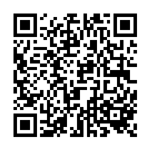 因为一名刑警将死者陈西贤对门的邻居领了过来二维码生成